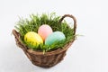 Colorful Easter eggs in basket with green grass on white textured background with copy space Royalty Free Stock Photo