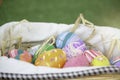 Colorful Easter eggs in the basket on green grass at the yard   festival and holiday spring coming  Easter calibration Royalty Free Stock Photo