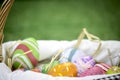 Colorful Easter eggs in the basket on green grass at the yard   festival and holiday spring coming  Easter calibration Royalty Free Stock Photo