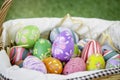 Colorful Easter eggs in the basket on green grass at the yard   festival and holiday spring coming  Easter calibration Royalty Free Stock Photo