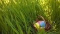 Colorful  Easter eggs hidden in the green grass. Easter egg hunt for kids. Happy easter. Beautiful sunlight. Royalty Free Stock Photo
