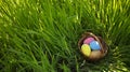 Colorful  Easter eggs hidden in the green grass. Easter egg hunt for kids. Happy easter. Royalty Free Stock Photo