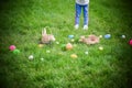 Colorful Easter Eggs and Baskets on Green Grass During Egg Hunt Royalty Free Stock Photo