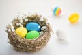 Colorful easter eggs in a bird `s nest on a blue background. Royalty Free Stock Photo