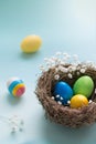 Colorful easter eggs in a bird `s nest on a blue background. Royalty Free Stock Photo