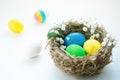 Colorful easter eggs in a bird `s nest on a blue background. Royalty Free Stock Photo