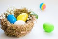 Colorful easter eggs in a bird `s nest on a blue background. Royalty Free Stock Photo