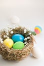 Colorful easter eggs in a bird `s nest on a blue background. Royalty Free Stock Photo