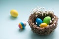 Colorful easter eggs in a bird `s nest on a blue background. Royalty Free Stock Photo