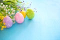 Colorful easter eggs and branch with flowers on blue wooden desk