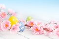 Colorful easter eggs and flowers Royalty Free Stock Photo