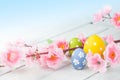 Colorful easter eggs and flowers Royalty Free Stock Photo