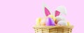 Colorful easter eggs with bunny ears in a basket on empty pink background Royalty Free Stock Photo