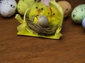 Colorful easter eggs with chickens nest on brown wooden table