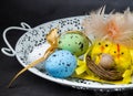 Colorful easter eggs with chickens nest on white plate