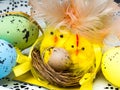 Colorful easter eggs with chickens nest on white plate