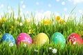 Colorful Easter eggs and daffodil flowers in grass against blue sky Royalty Free Stock Photo