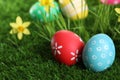 Colorful Easter eggs and daffodil flowers in grass, closeup Royalty Free Stock Photo