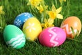 Colorful Easter eggs and daffodil flowers in grass, closeup Royalty Free Stock Photo