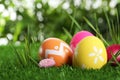 Colorful Easter eggs and daisy flower in grass, closeup Royalty Free Stock Photo