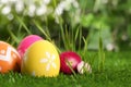 Colorful Easter eggs and daisy flower in grass, closeup. Space for text Royalty Free Stock Photo