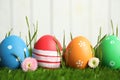 Colorful Easter eggs and daisy flowers in grass against white background, closeup Royalty Free Stock Photo