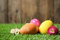 Colorful Easter eggs and daisy flowers in green grass, closeup Royalty Free Stock Photo