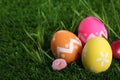 Colorful Easter eggs and daisy flowers in grass, closeup Royalty Free Stock Photo