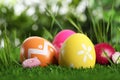 Colorful Easter eggs and daisy flowers in grass, closeup Royalty Free Stock Photo