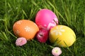 Colorful Easter eggs and daisy flowers in grass, closeup Royalty Free Stock Photo