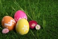 Colorful Easter eggs and daisy flowers in grass. Space for text Royalty Free Stock Photo