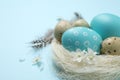 Colorful Easter eggs in decorative nest on blue background, closeup. Space for text Royalty Free Stock Photo