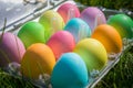 Colorful easter eggs in disposable plastic tray on green grass Royalty Free Stock Photo