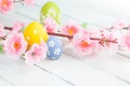 Colorful easter eggs and flowers Royalty Free Stock Photo