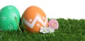 Colorful Easter eggs and flowers on grass against white background, closeup Royalty Free Stock Photo