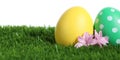 Colorful Easter eggs and flowers on grass against white background, closeup Royalty Free Stock Photo