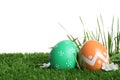 Colorful Easter eggs and flowers on grass against white background, closeup Royalty Free Stock Photo