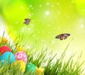 Colorful Easter eggs with flowers in grass and butterflies on blurred background Royalty Free Stock Photo
