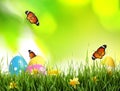 Colorful Easter eggs with flowers in grass and butterflies on blurred background Royalty Free Stock Photo
