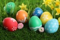 Colorful Easter eggs and flowers in green grass, closeup Royalty Free Stock Photo