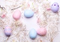 Colorful Easter eggs and flowers Royalty Free Stock Photo