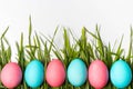 Colorful Easter eggs on fresh green grass isolated on white background. Royalty Free Stock Photo