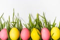 Colorful Easter eggs on fresh green grass isolated on white background. Royalty Free Stock Photo