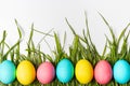 Colorful Easter eggs on fresh green grass isolated on white background. Royalty Free Stock Photo