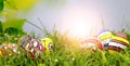 Colorful easter eggs on green grass with bokeh background and sun light Royalty Free Stock Photo