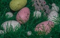 colorful easter eggs in green grass Royalty Free Stock Photo
