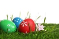 Colorful Easter eggs in green grass and flower on background, closeup Royalty Free Stock Photo