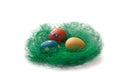 Colorful Easter Eggs in a green grass nest