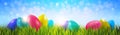 Colorful Easter Eggs On Green Grass Over Blue Bokeh Background Horizontal Banner