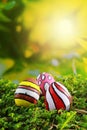 Colorful easter eggs on green grass with sun flare background Royalty Free Stock Photo